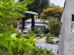 -深圳仙湖植物园