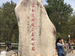 -合肥滨湖国家森林公园