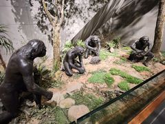 -北京周口店北京人遗址博物馆