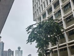 -香港大学