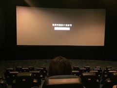 -AMG海上明珠影城(上海环球港RealDCinema店)