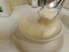 蛋白炖鲜牛奶-澳洲牛奶公司(佐敦店)