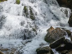 -五女峰国家森林公园