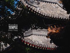 -北京艺术博物馆(万寿寺)