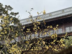 -龙华寺