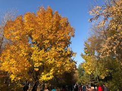 -奥林匹克森林公园南门-停车场