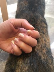 -RL Nail·瑞丽美甲美睫品牌原创店