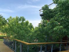 -东郊湿地公园