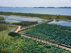 -鄱阳湖国家湿地公园