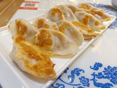 -东方饺子王(新奥购物中心店)