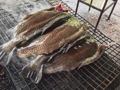 -可心烤鱼