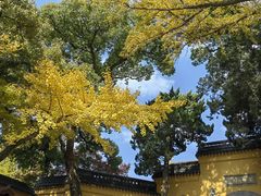 -灵岩山风景区