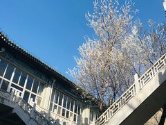 -国家图书馆·古籍馆