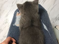 -瑞鹏瑞爱宠物医院·全科·猫科·血液透析中心(龙头寺店)