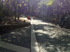 -灵岩山风景区