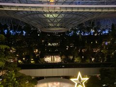 -樟宜机场免税店