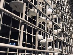 -喜茶(佛山顺德大良东乐路店)