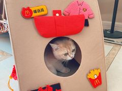 -麦当劳(新王府井店)