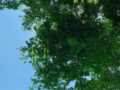 -风云岭森林公园