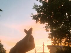 -天目湖水世界