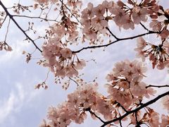 -新·淮海坊(淮海西路店)