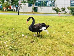 -莫干山开元森泊·云顶餐厅