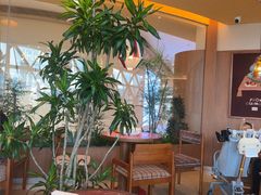 -蛙小侠(珠海华发商都店)