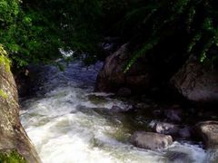 android_upload_pic-陕西省红河谷森林公园