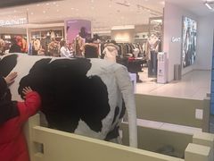 -红星前进面包牛奶公司(君太店)