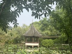-上海醉白池公园
