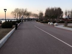 -丁香湖公园