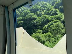 -王顺山国家森林公园