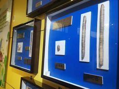 -上海昆虫博物馆