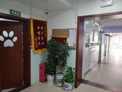 -宠颐生中康贝怡动物医院