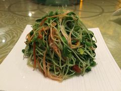 -上海安亭别墅花园酒店