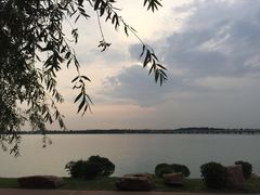 -丁香湖公园
