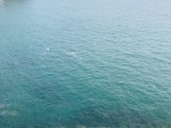 -棒棰岛宾馆景区
