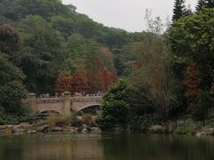 -云溪植物园