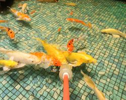 -酷嗒动物文化乐园(cutezoo西溪乐天城店)