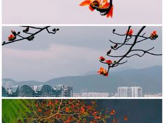 -鹿回头风景区