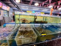 水产区-绿雅居原生态农庄(小涌店)