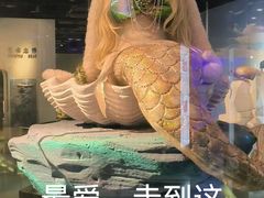 -成都泰迪熊博物馆