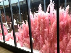 -拈菜(观音桥阳光世纪店)