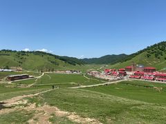 -关山草原