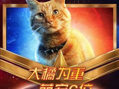 -SFC上影影城(港汇永华IMAX激光店)