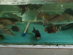 -鹿福农庄(南沙天后宫店)