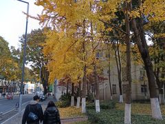 -西南交通大学(九里校区)