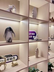 -雅荷悦来双美