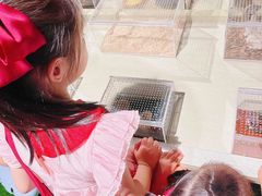 -石家庄海洋公园
