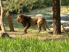 -北京野生动物园
